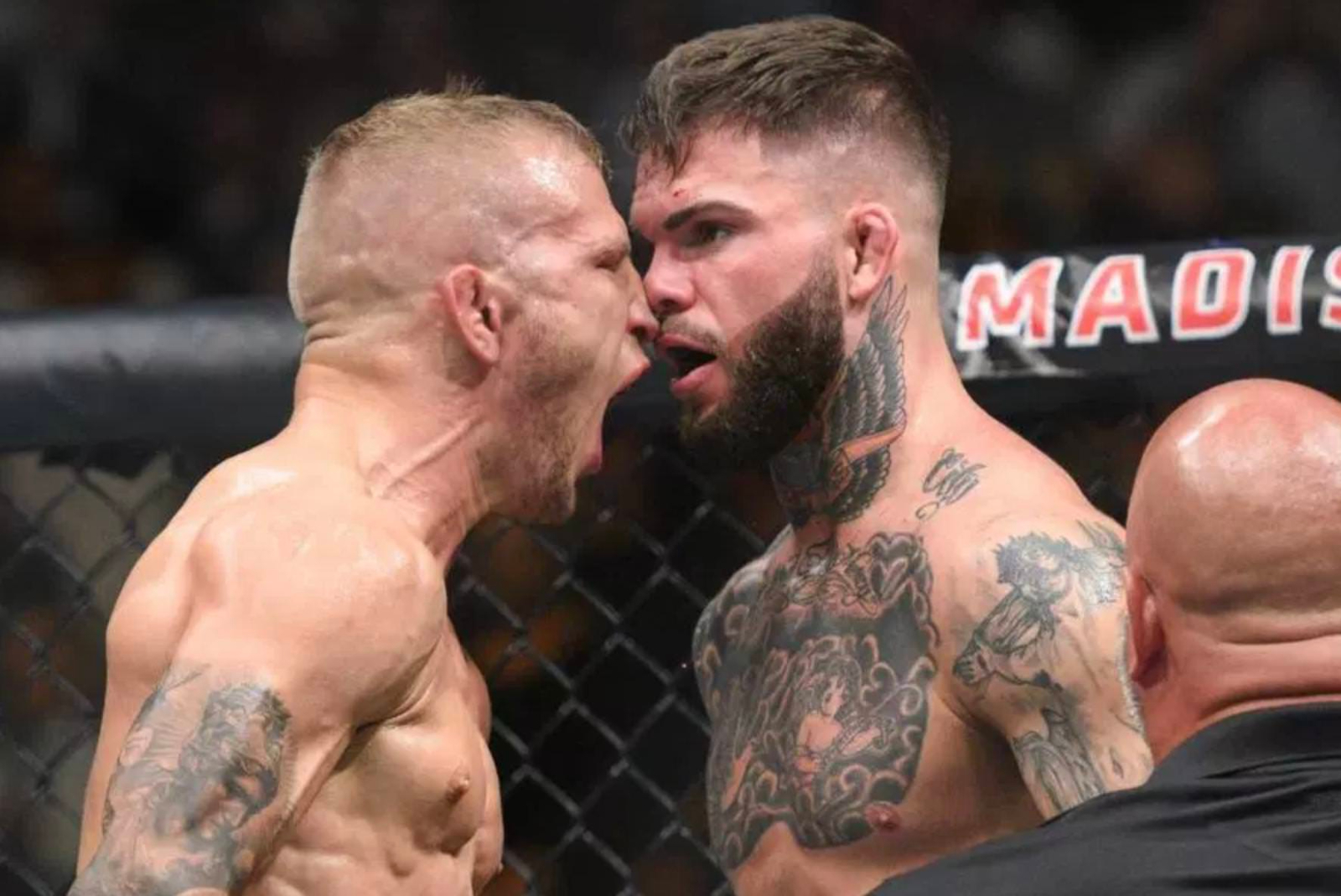 UFC: TJ Dillashaw explains why he refused to fight Cody Garbrandt at UFC 222 - Dillashaw