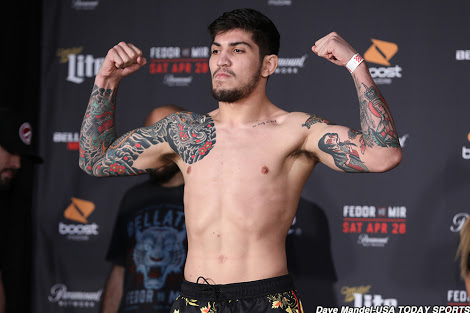 Bellator: Dillon Danis feels a fight against Ben Askren would mean an easy submission for him - Dillon Danis