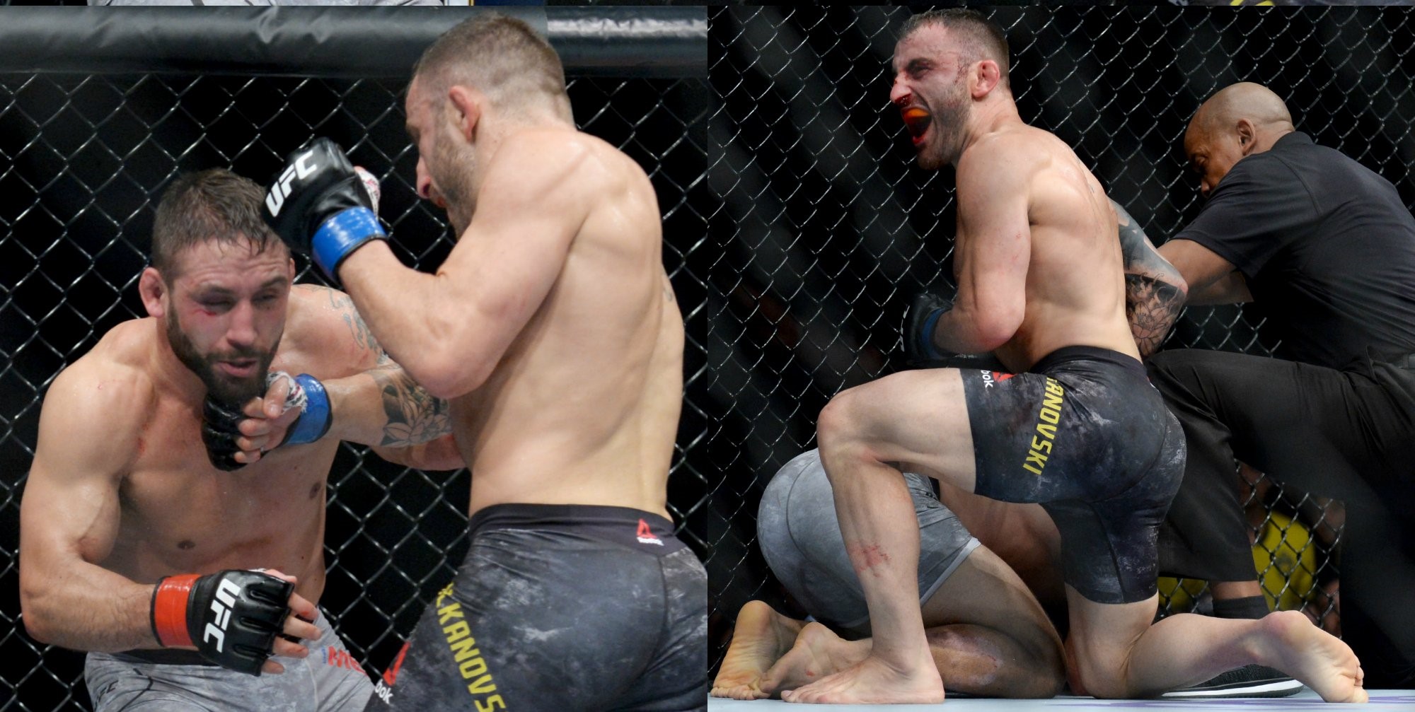 UFC 232 Results: Alexander 'The Great' Volkanovski Finishes Chad Mendes in Round 2 -