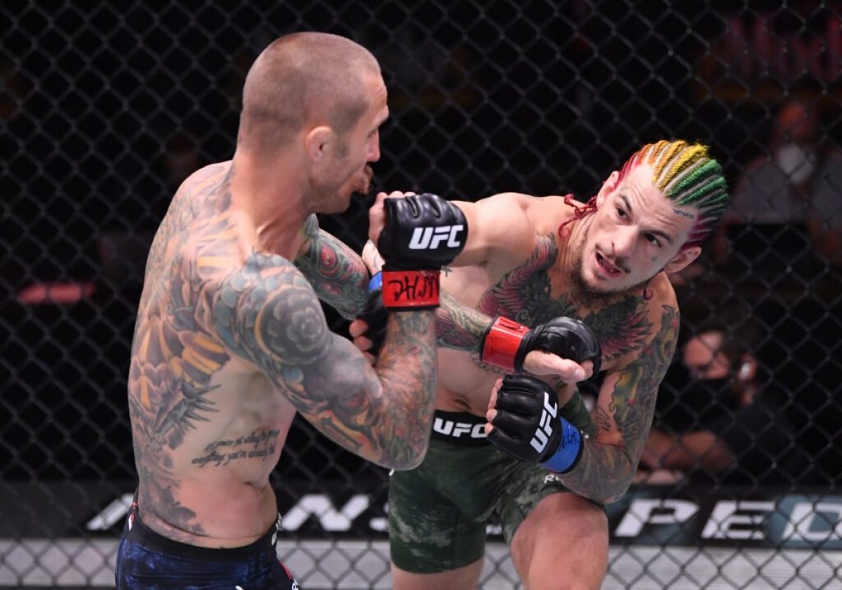 Sean O Malley Next Fight Ufc Record Weight Class T Shirt Net Worth Mma India