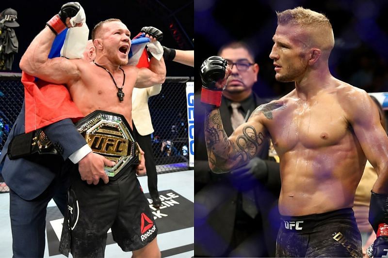 TJ Dillashaw gives his prediction for Aljamain Sterling and Petr Yan bantamweight title fight