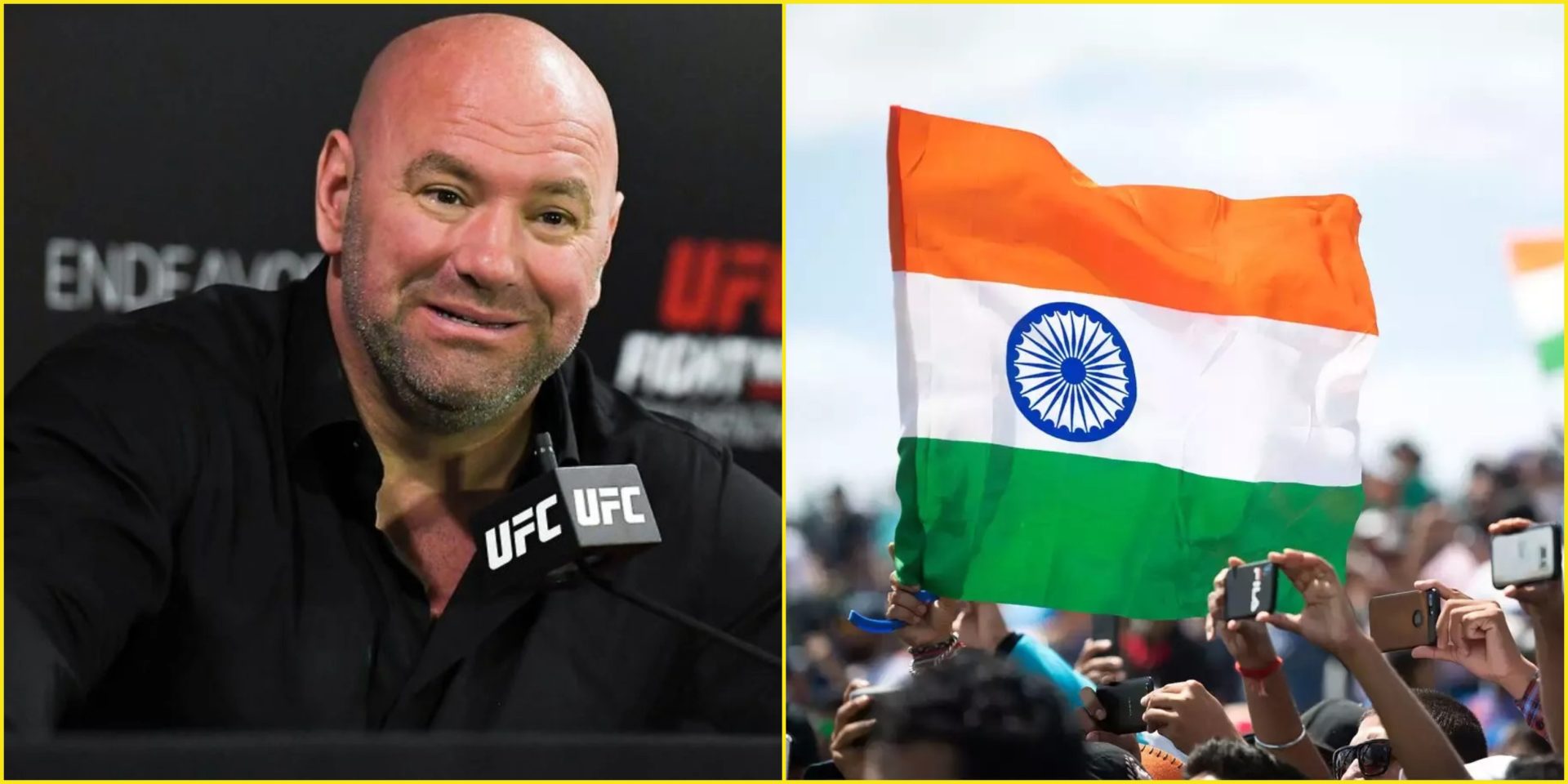 UFC in India, Indian fighers in UFC, UFC Fighters from India