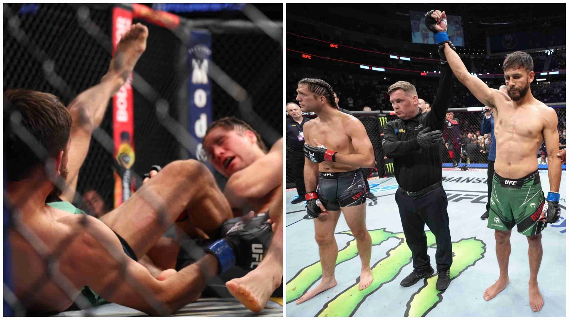 BeFunky-collage (20) UFC Long Island